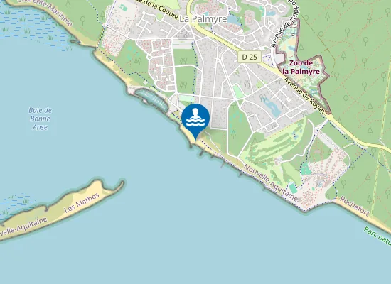 Map of PLAGE DE LA PALMYRE