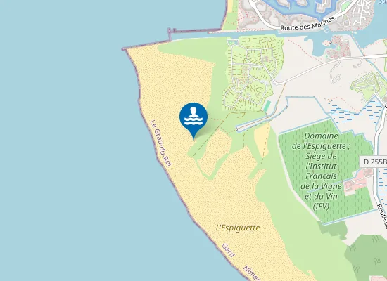 Map of POINTE DE L'ESPIGUETTE