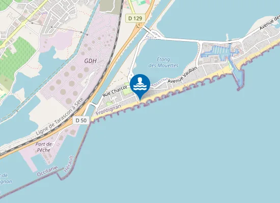 Map of FRONTIGNAN PLAGE - L'ENTREE