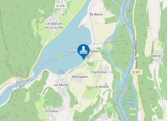 Map of MASSIGNIEU DE RIVES - PLAGE DU LIT AU ROI CANAL DU RHONE