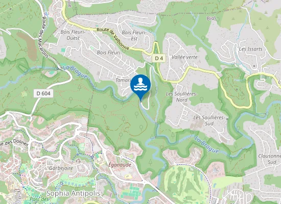 Map of LA BRAGUE - LE PONT DE TAMARIN