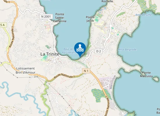 Map of LES RAISINIERS : PRES CABANES PECHEURS