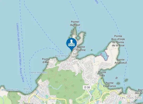 Map of ANSE-MITAN : FACE LOCATION DE PLANCHES