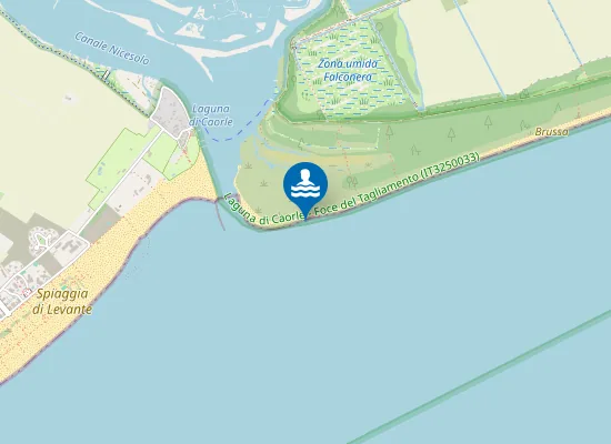 Map of BRUSSA SPONDA SX FOCE CANALE NICESOLO