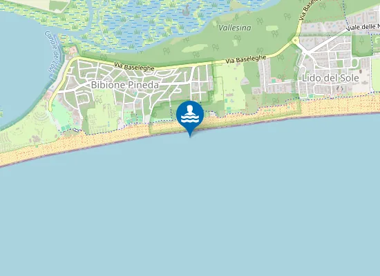 Map of BIBIONE VIALE DEGLI ONTANI