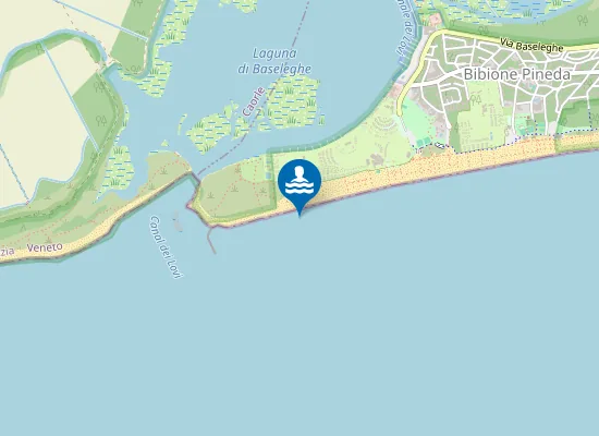 Map of BIBIONE SPONDA SX FOCE CANALE DEI LOVI