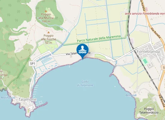 Map of TALAMONE - LOC. PODERINO