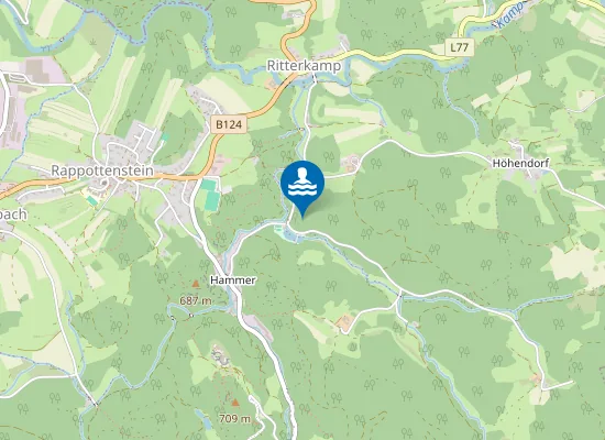 Map of WALDBAD, RAPPOTTENSTEIN