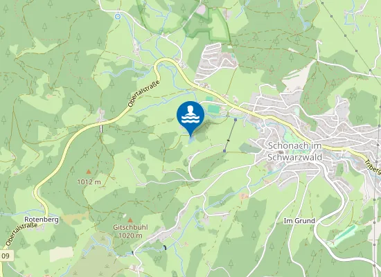 Map of SCHONACH NATURFREIBAD