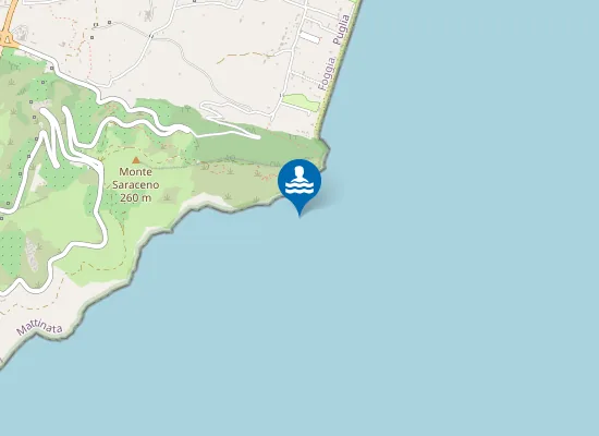 Map of MONTE SARACENO