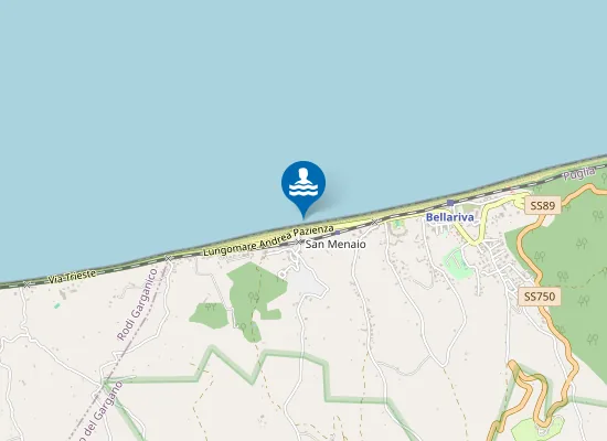 Map of FOCE CANALE S. ANTONINO 30 MT DX