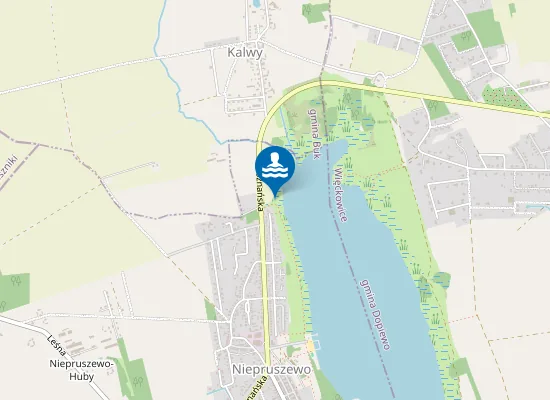 Map of KĄPIELISKO W NIEPRUSZEWIE