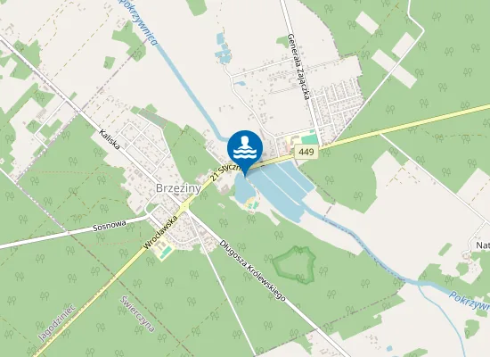 Map of KĄPIELISKO GOSIR BRZEZINY