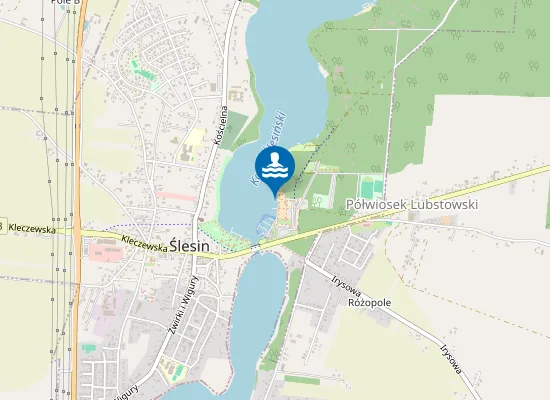 Map of KĄPIELISKO PRZY PRZYSTANI WODNEJ W ŚLESINIE