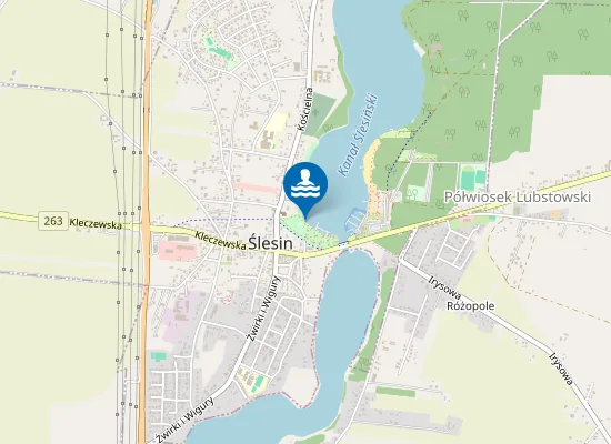 Map of KĄPIELISKO W PARKU MIEJSKIM W ŚLESINIE