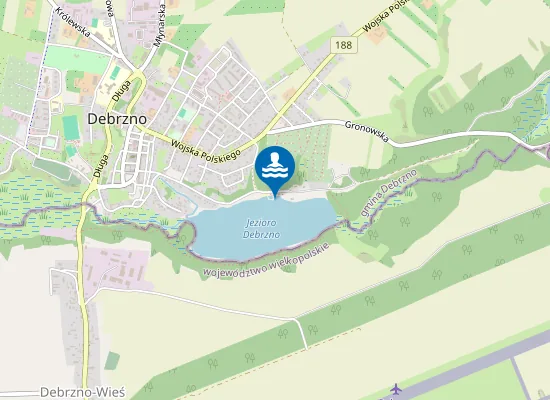 Map of KĄPIELISKO NA JEZIORZE STAW MIEJSKI W DEBRZNIE