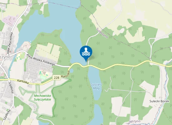 Map of SULĘCZYNO
