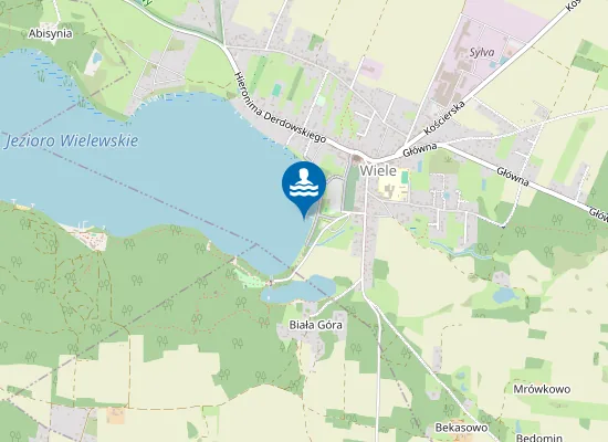 Map of KĄPIELISKO WIELEWSKIE NAD JEZ. WIELEWSKIM W MIEJSCOWOŚCI WIELE