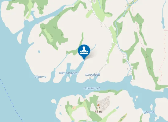 Map of Staulvågen