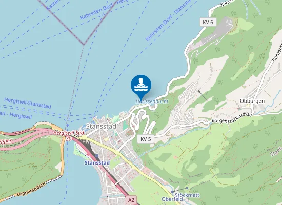 Map of General-Guisan-Quai