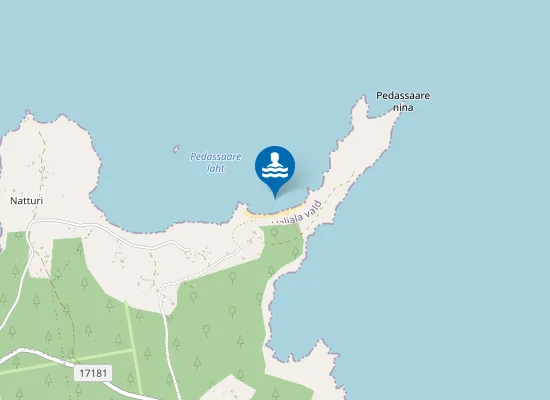 Map of Pedassaare ujumiskoht