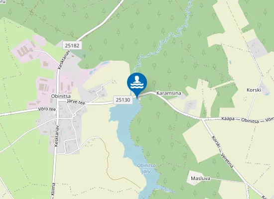 Map of Obinitsa Ujumiskoht