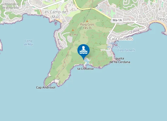 Map of Platja des Caló d'en Monjo