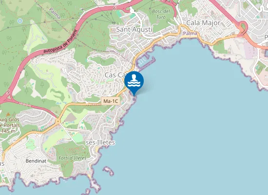 Map of Cova de sa Grava
