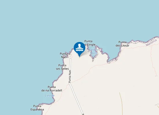Map of Cales Pous