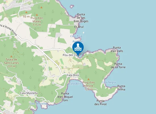 Map of Platja Pou des Lleó