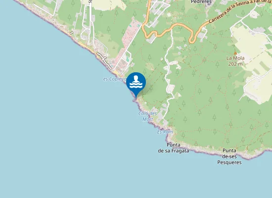 Map of Platja Caló d'es Morts