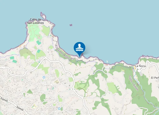 Map of Playa La Cagonera