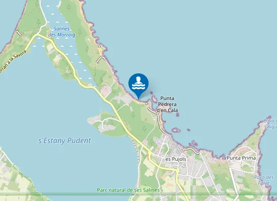 Map of Platja de ses Canyes