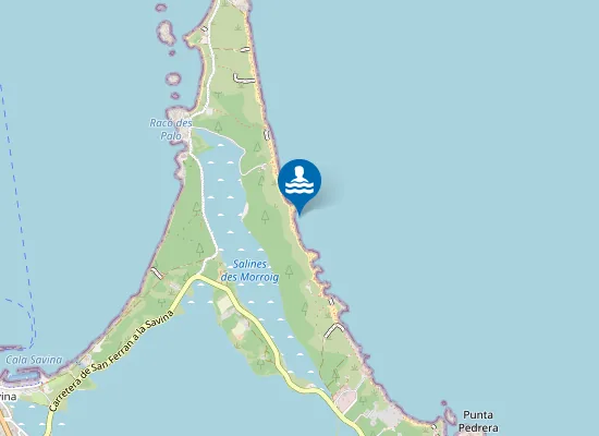 Map of Platja de ses Salines