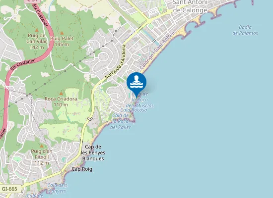 Map of Cala de la Roca dels Musclos
