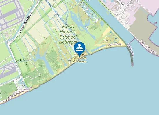 Map of Platja De La Ricarda Ca L'arana