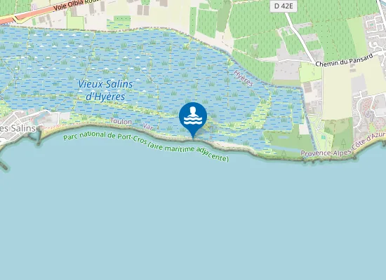 Map of Plage des Salins