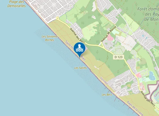 Map of Plage naturiste des Salins