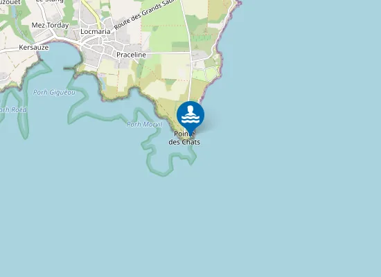 Map of Plage de la Pointe des Chats