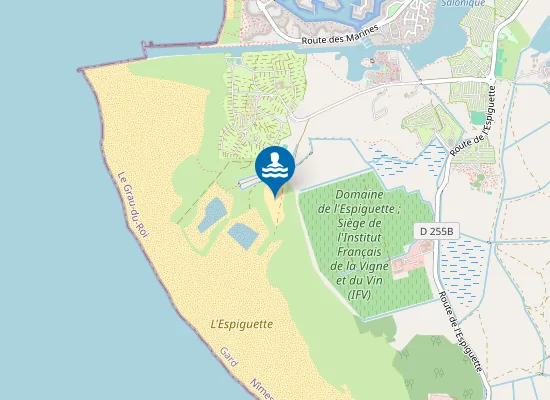 Map of L'Espiguette