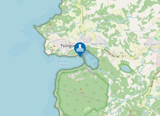 Map of Plage de Didrioni / M'Tsanga Didrioni