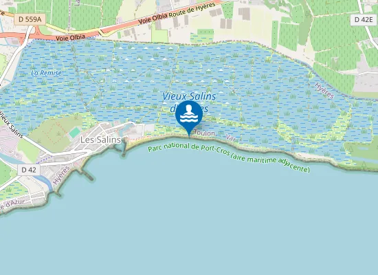 Map of Plage naturiste des Vieux Salins