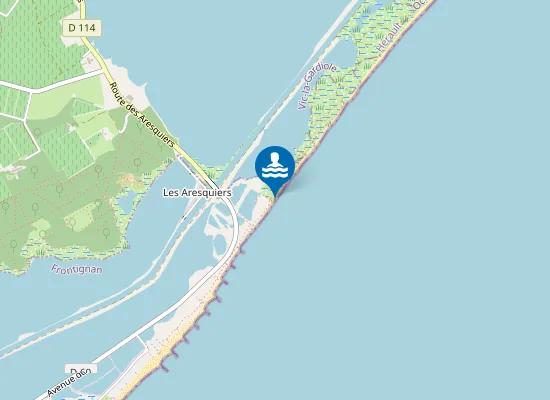 Map of Plage des Aresquiers