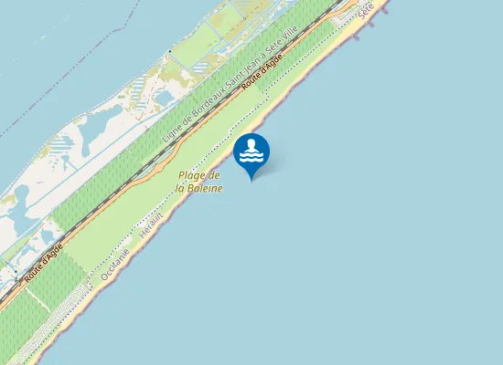Map of Plage de la Baleine