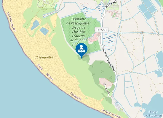 Map of L'Espiguette