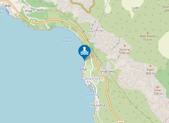 Map of Rat