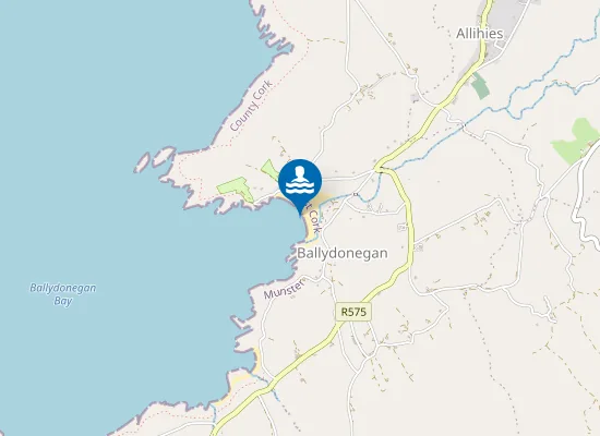 Map of Ballydonegan Strand