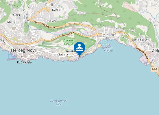 Map of Savina