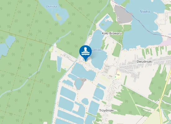 Map of Koło Lasu- wypożyczalnia sprzętu sportowo rekreacyjnego.