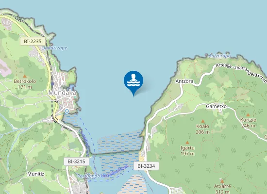 Map of PLAYA DE LAIDA PM1